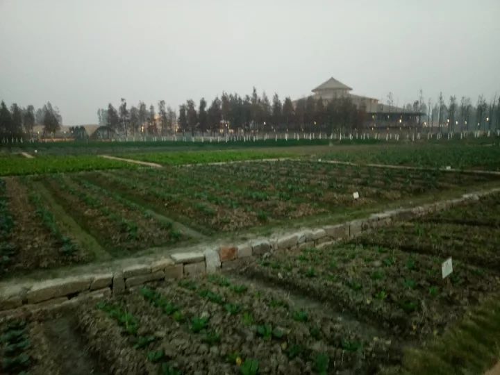 微信图片_20230214154840.jpg